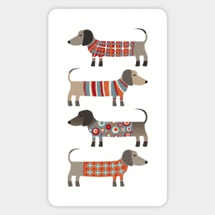 Sausage Dogs in Sweaters Magnet